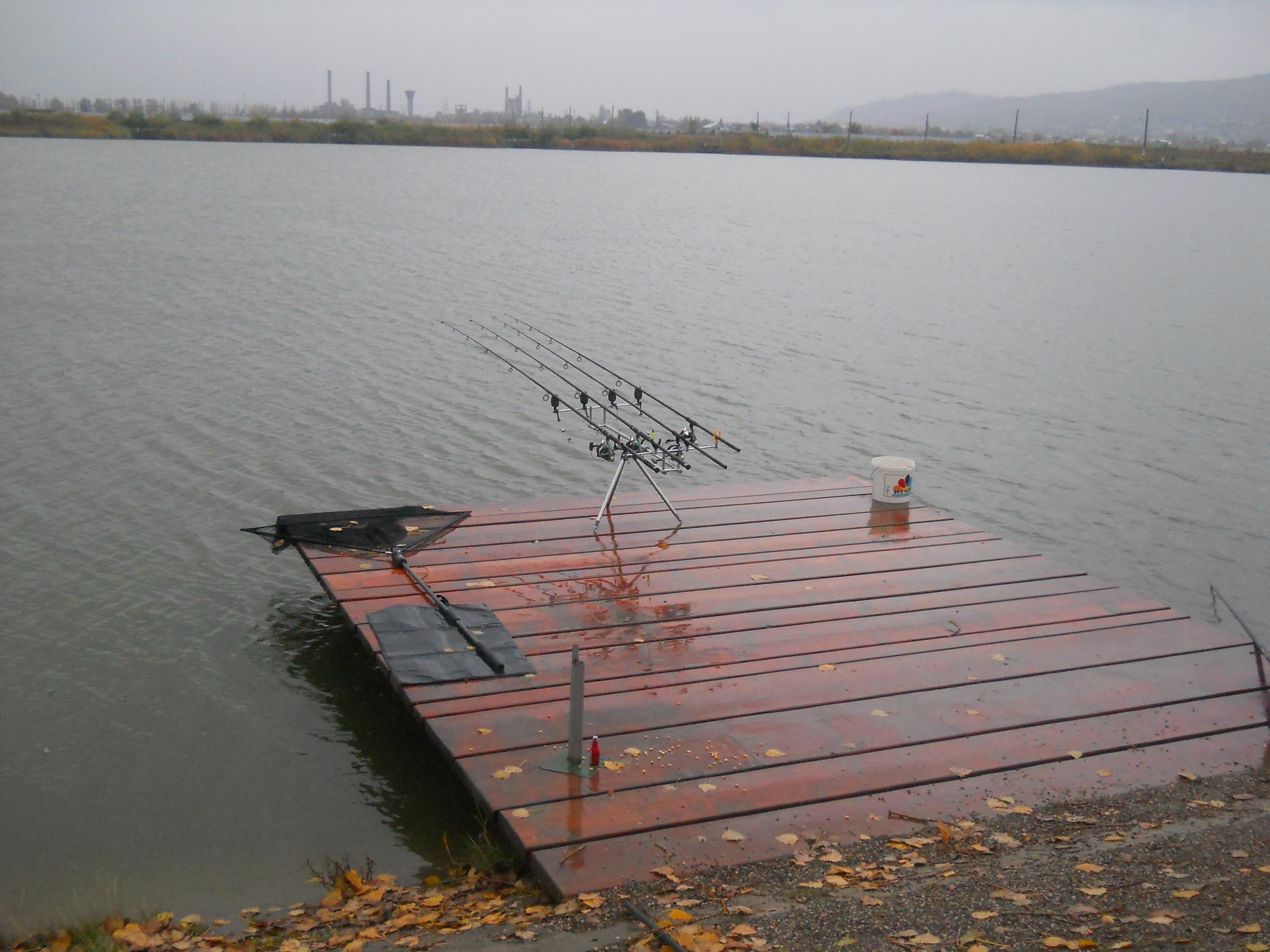 Pleasa - DSCN0007.JPG